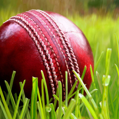 Club Match Outdoor Ball
