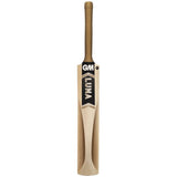 GM Luna 101 Kashmir Willow Cricket Bat